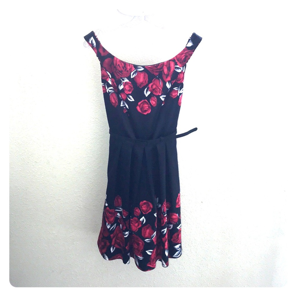 Holiday cocktail dress (Like new)